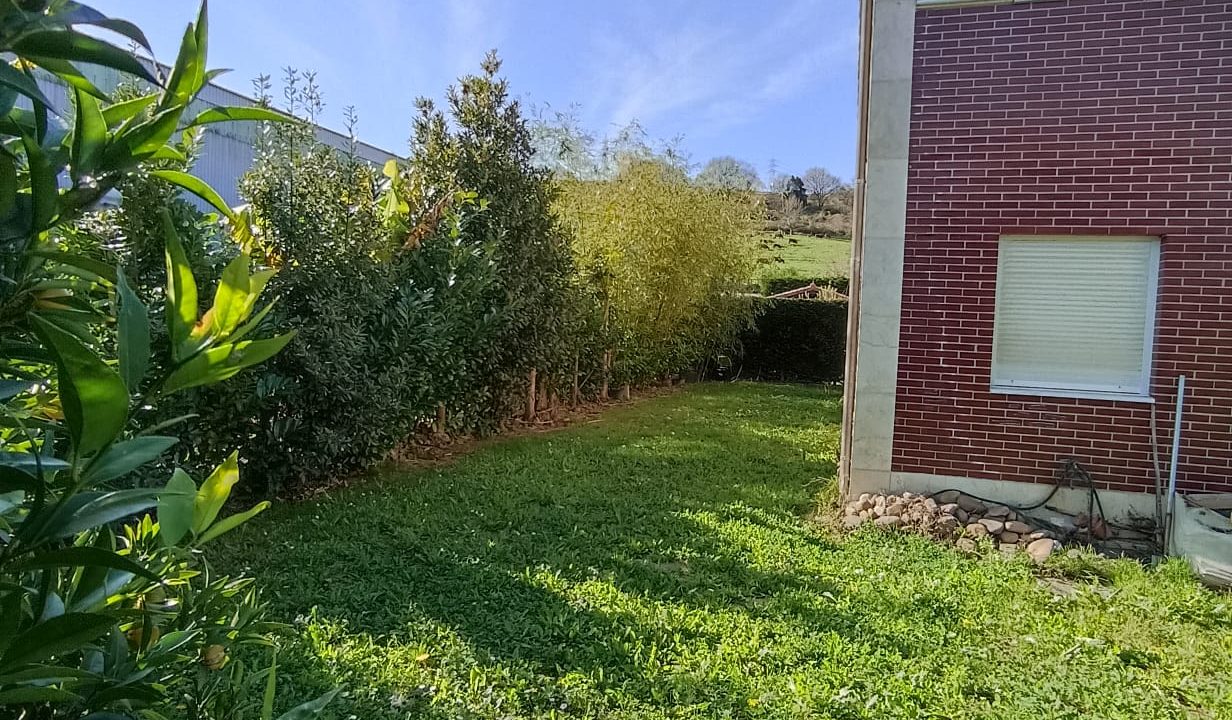 terreno2